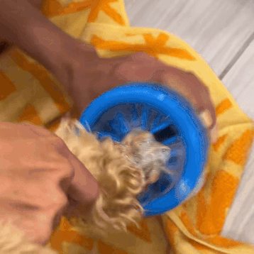 Pet Paw Washing Cup